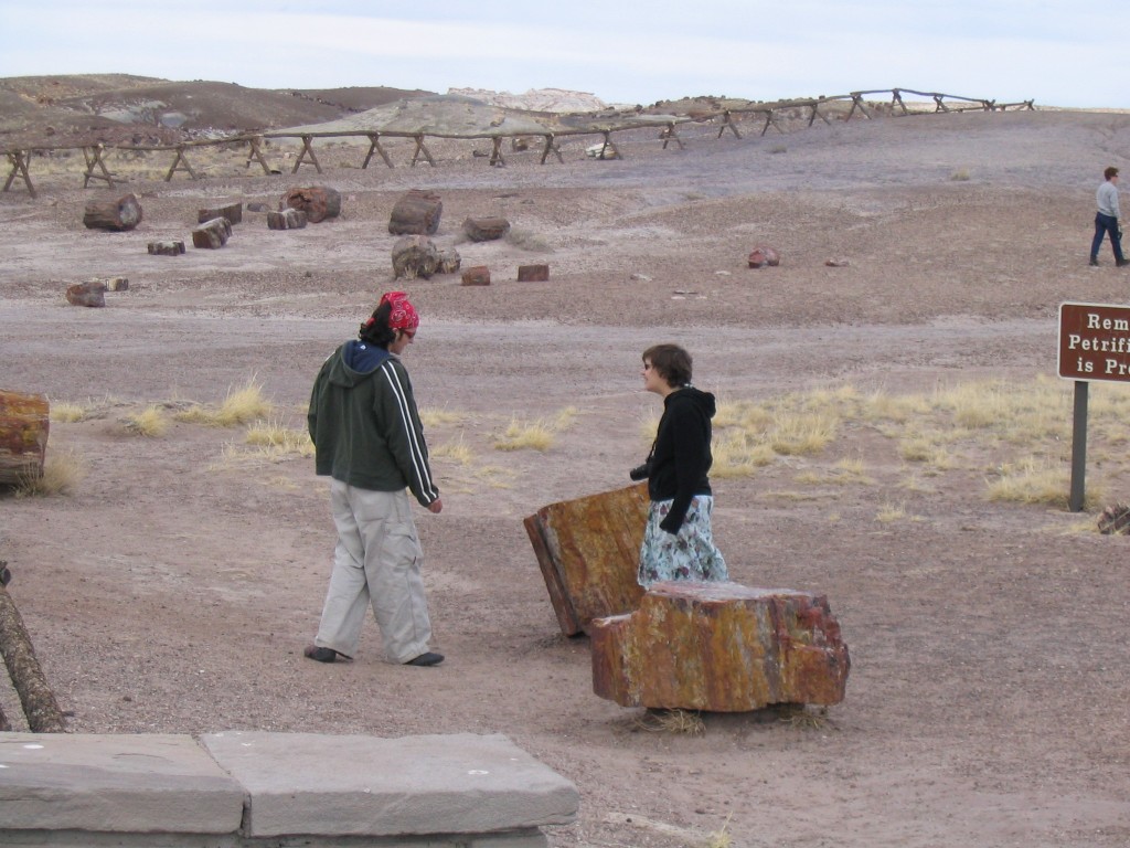 Petrified Forest